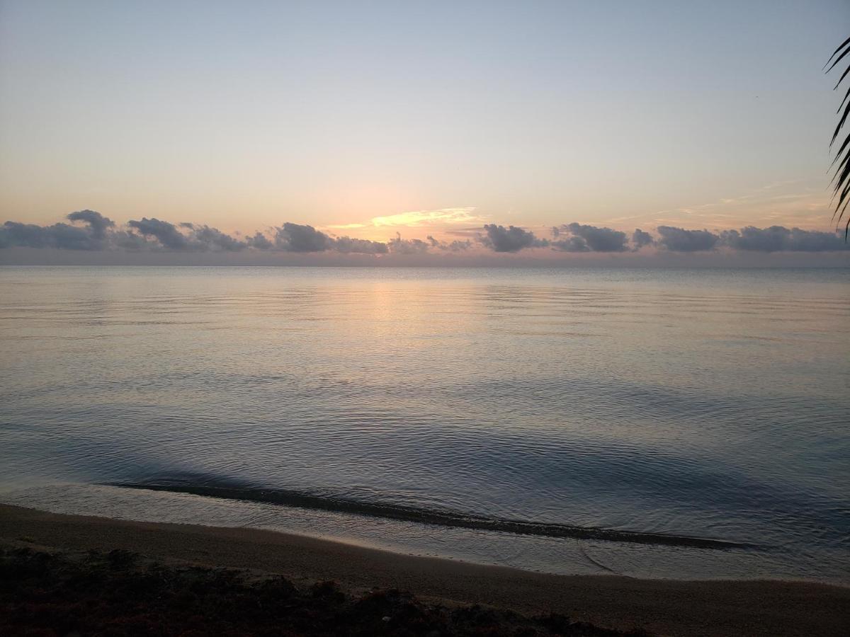 Pal'S On The Beach - Dangriga, Belize Esterno foto
