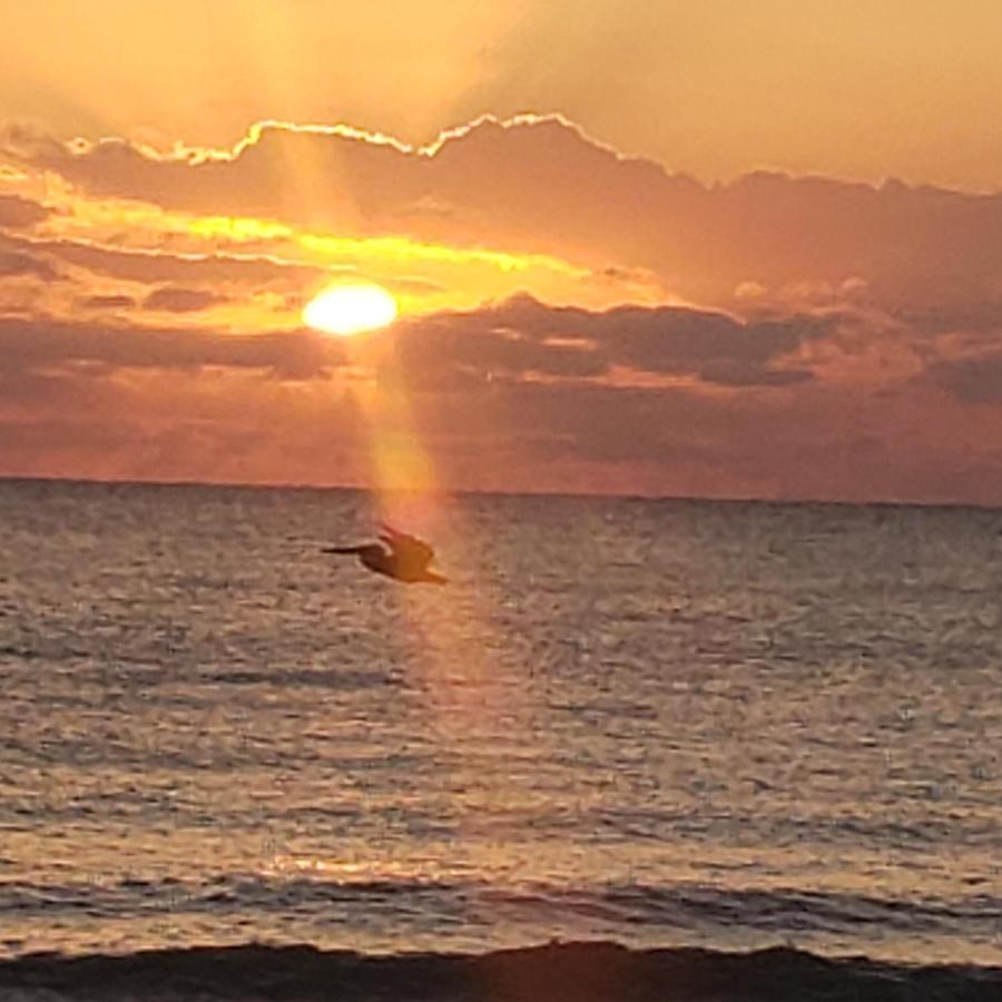 Pal'S On The Beach - Dangriga, Belize Esterno foto