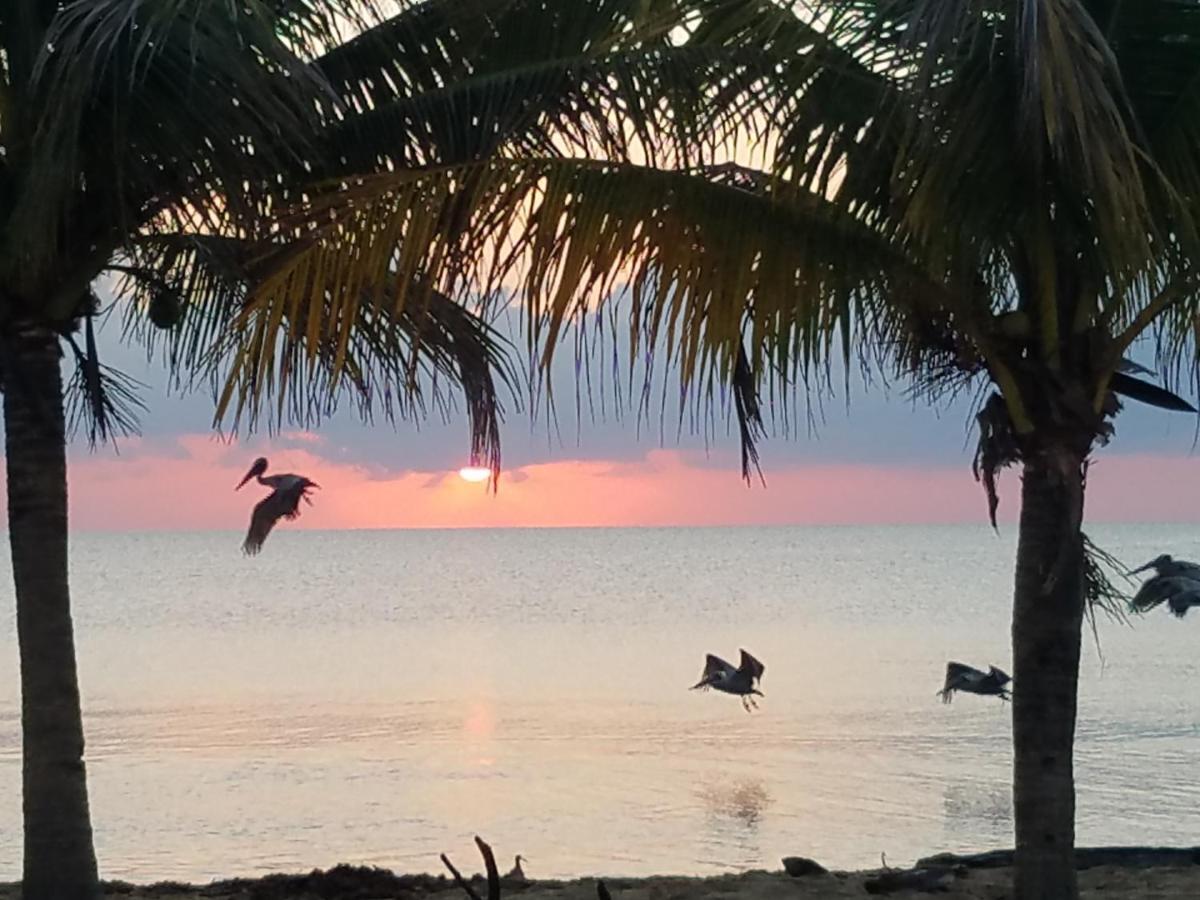 Pal'S On The Beach - Dangriga, Belize Esterno foto